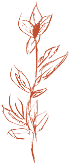 Flower Terracotta